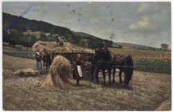 St. Pölten, Niederösterreichischer Bauernbund