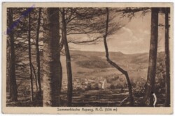 Aspang am Wechsel, Ansicht