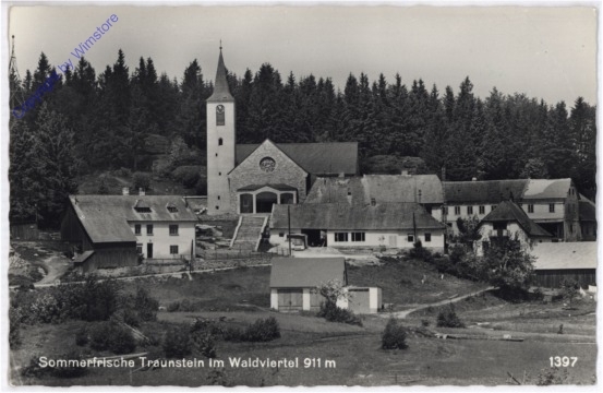 Bad Traunstein, Ortsansicht