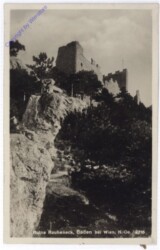 Baden, Ruine Rauhenstein