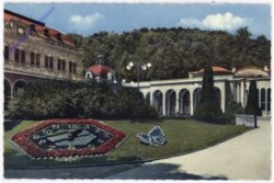 Baden, Blumenuhr