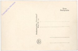 Eggenburg, Pfarrkirche, Innenansicht