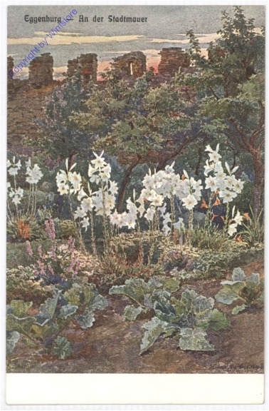 Eggenburg, An der Stadtmauer