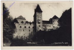 Feistritz am Wechsel, Burg