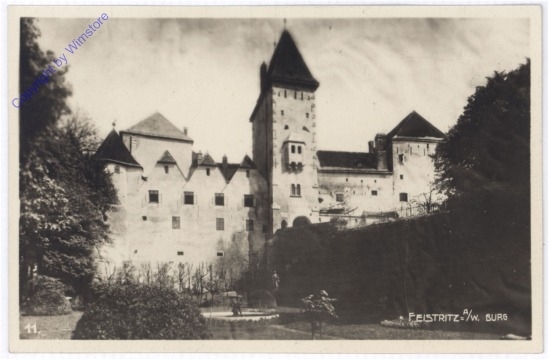 Feistritz am Wechsel, Burg