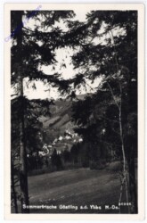 Göstling, Ortsansicht