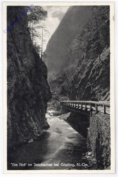 Göstling, Die Not im Steinbachtal