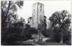 Greifenstein, Burg