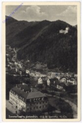 ak185092 Gutenstein, Ortsansicht
