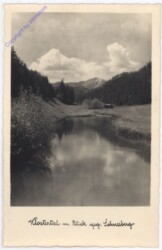 Gutenstein, Klostertal, Blick gegen Schneeberg