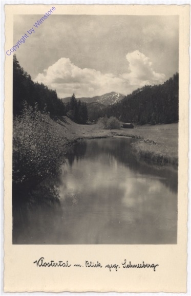 ak185098 Gutenstein, Klostertal, Blick gegen Schneeberg