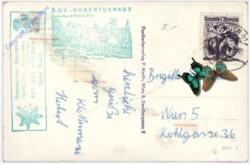 Hohe Wand, Baumgartnerturm mit Schneeberg