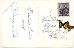 Hohe Wand, Ausblick gegen Geländ und Schneeberg