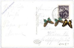 ak185529a Litschau, Schloss