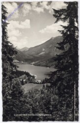 Lunzer See, Ansicht