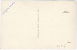 Maria Enzersdorf, Inneres der Wallfahrtskirche Heil der Kranken