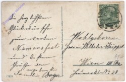 Maria Enzersdorf, Burg Liechtenstein