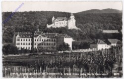 Maria Enzersdorf, Erziehungsanstalt
