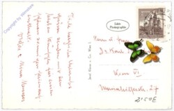 Maria Enzersdorf, Feste Liechtenstein