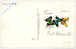 Maria Lanzendorf, Ortsansicht