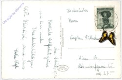 Maria Schutz am Semmering, Gnadenbild