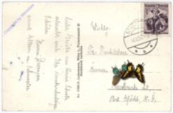 Maria Schutz am Semmering, Ansicht