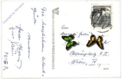 Mönichkirchen, Anton Wildgans-Ruhe