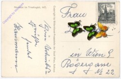 Neuhaus, Ansicht