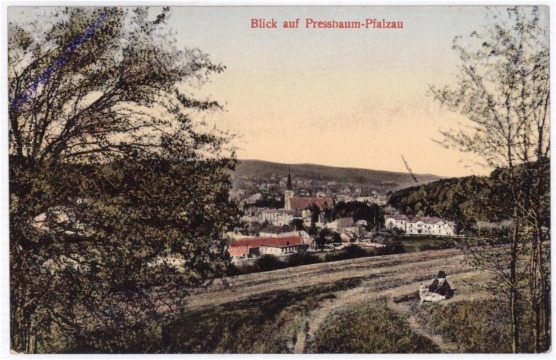 Pressbaum, Blick auf Pfalzau