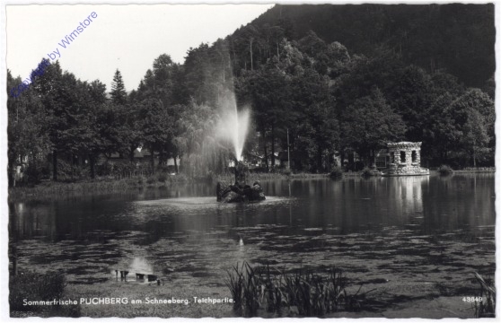Puchberg, Teichpartie