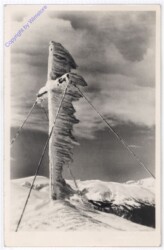 Puchberg, Schneeberg Gipfelkreuz