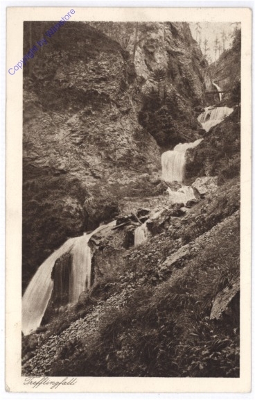 Puchenstuben, Trefflingfall