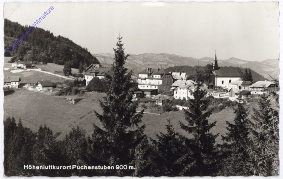 Puchenstuben, Ortsansicht