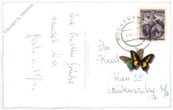 ak186071a Puchenstuben, Ansicht