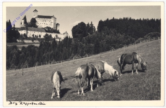 Rappottenstein, Burg