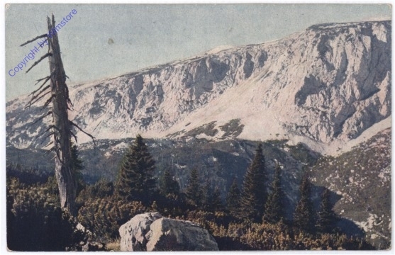 Rax, Raxplateau, Am Seeweg