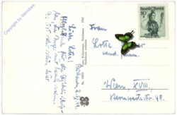 Reichenau, Teich mit Kurhaus