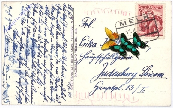 ak186248a_1 Schallaburg, Schloss