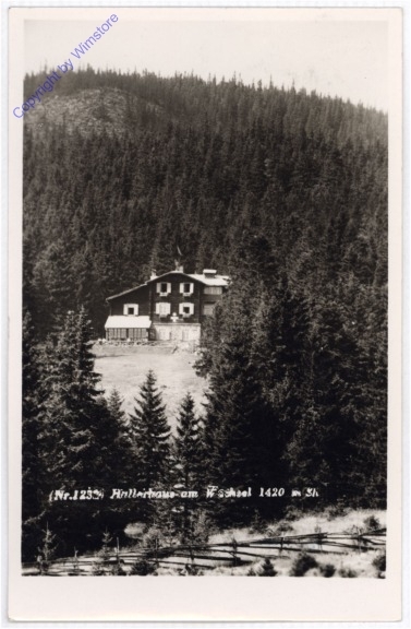 ak186250 Schaueregg, Hallerhaus am Wechsel