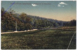 Schleinbach, Waldpartie im Kreutthale