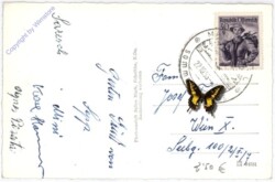 Schönbühel, Schloss