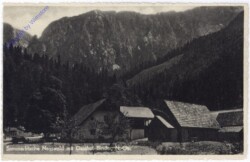 Schwarzau im Gebirge, Nasswald mit Gasthof Binder