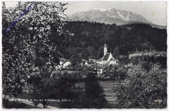 Seebenstein, mit Schneeberg
