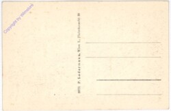 Semmering, Hotel Panhans, Erholungsheim Sonnwendhof, Schneeberg