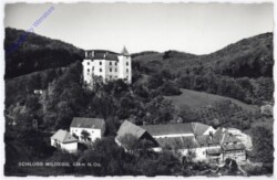 Sittendorf, Schloss Wildegg
