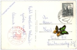 St. Corona, Multiansicht