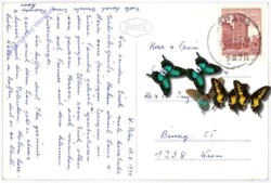 St. Peter am Wechsel, Ansicht