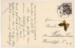 Traunstein, Franzosenstein