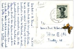 Traunstein, Franzosenstein