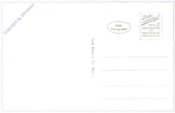 Tribuswinkel, Kinderheim der Stadt Wien Schloss Tribuswinkel